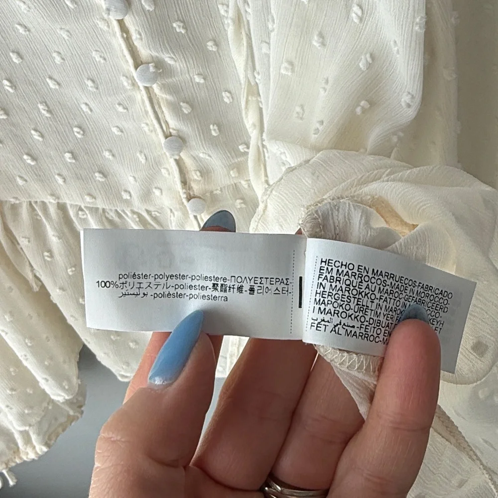 Zara Swiss Dot Sheer Button Down Blouse - Picture 11 of 11